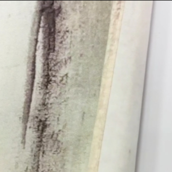 XL Japanese Mountain Scenery Cherry Trees Wall Tapestry Asian Nature Big Art New - Picture 5 of 8